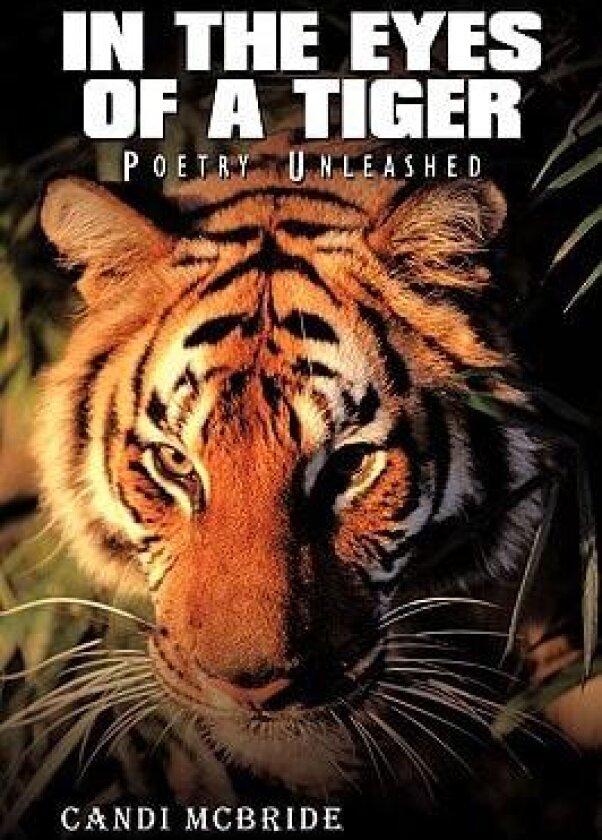 In the Eyes of a Tiger: Poetry Unleashed av Candi McBride (Paperback)