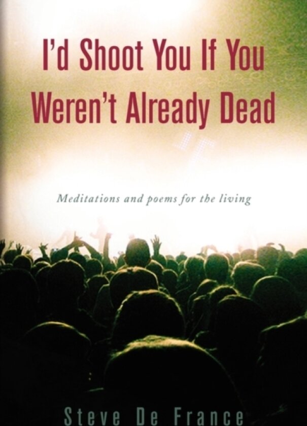 I'd Shoot You If You Weren't Already Dead av Steve De France (Paperback)