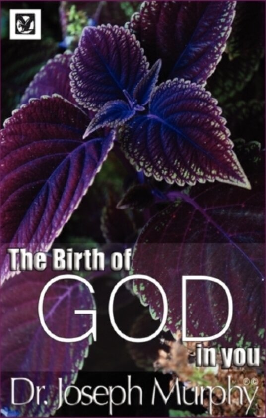 The Birth of God in You av Dr Joseph PH.D. D.D. Murphy (Hardcover)