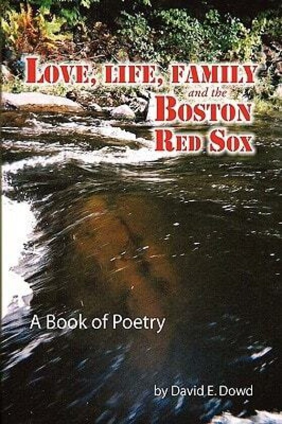 Love, Life, Family and the Boston Red Sox av David E. Dowd (Paperback)