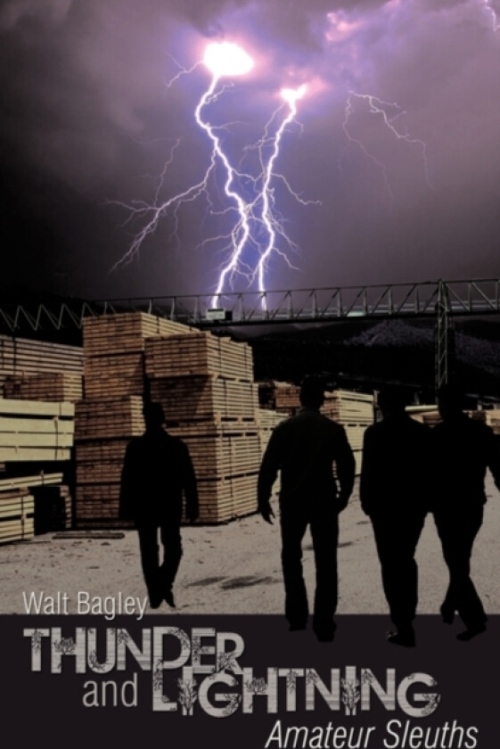 Thunder and Lightning av Walt Bagley (Paperback)