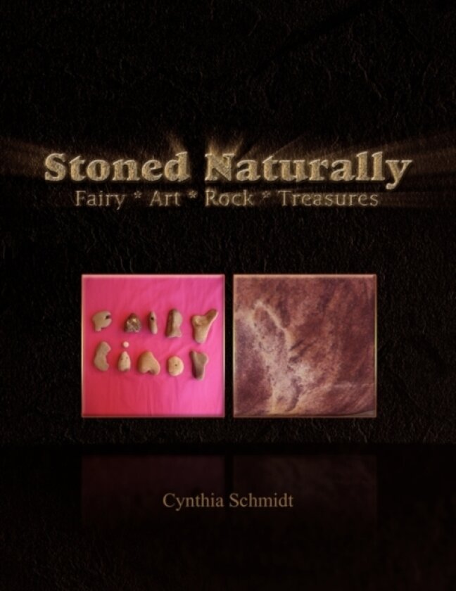 Stoned Naturally av Cynthia Schmidt (Paperback)