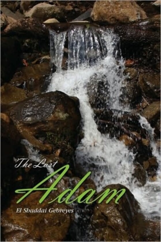 The Last Adam av El Shaddai Gebreyes (Paperback)