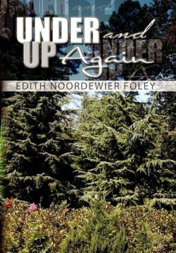 Under and Up Again av Edith Noordewier Foley (Hardcover)