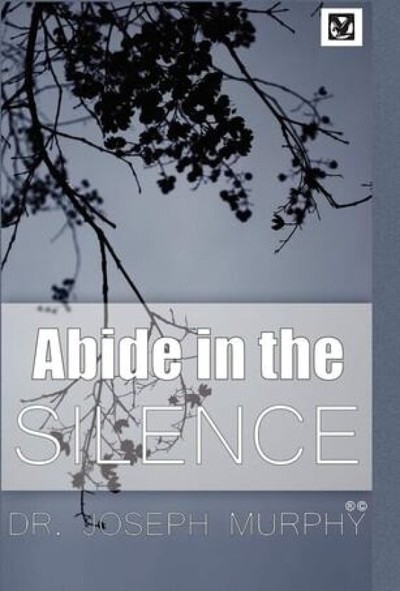 Abide in the Silence av Dr Joseph PH.D. D.D. Murphy (Paperback)