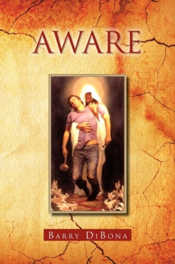 Aware av Barry Dibona (Paperback)