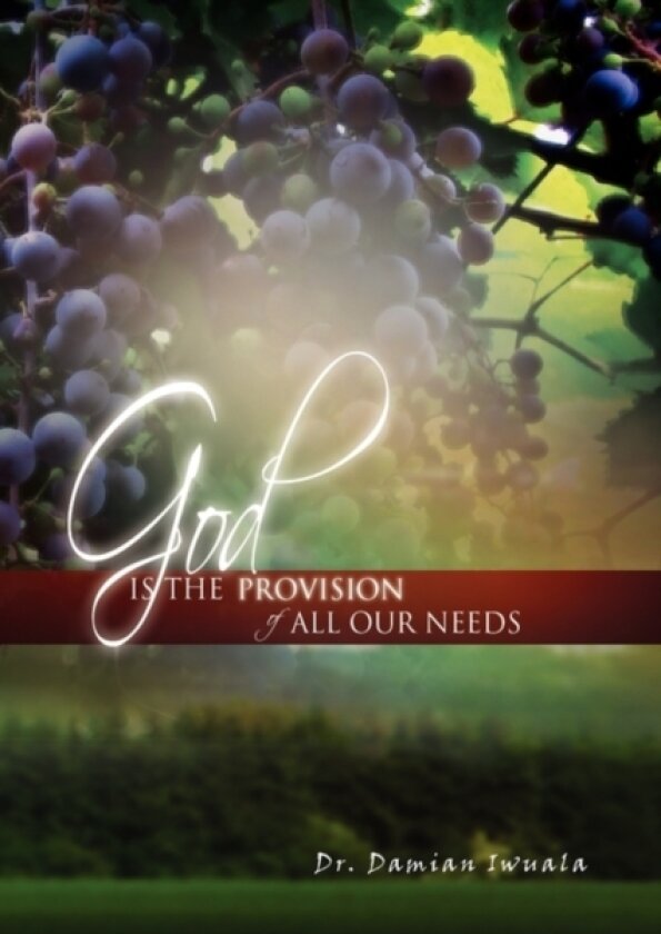 God is the Provision of All Our Needs av Dr Damian Iwuala (Hardcover)