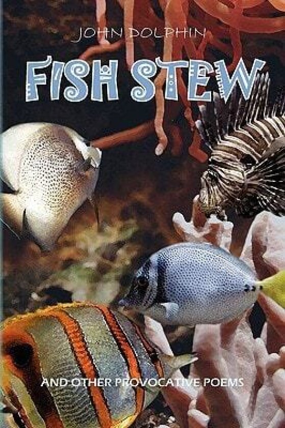 Fish Stew av John Dolphin (Paperback)