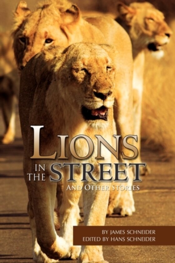 Lions in the Street av James Schneider (Paperback)