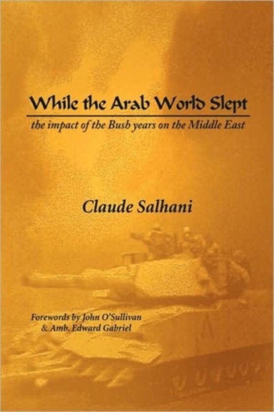 While the Arab World Slept av Claude Salhani (Paperback)