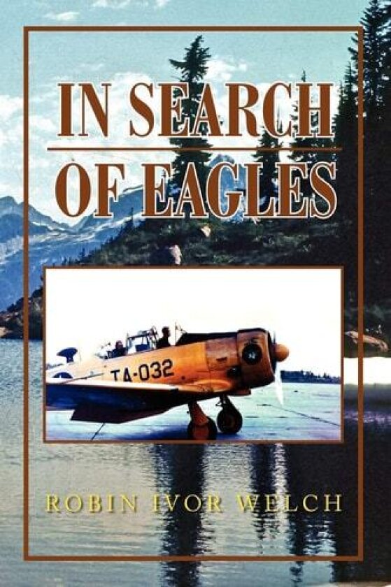 In Search of Eagles av Robin Welch (Paperback)