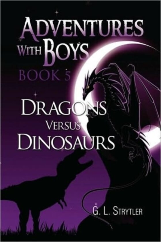 Adventures with Boys Book 5 av G L Strytler (Hardcover)