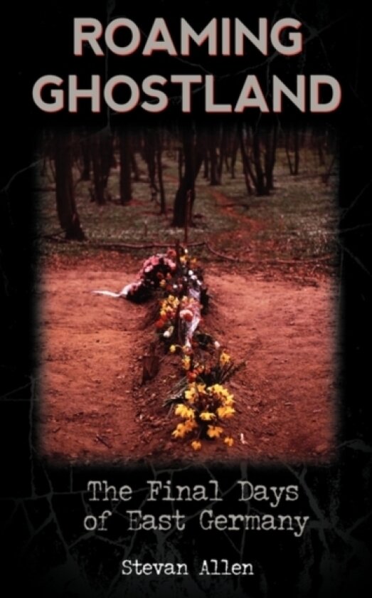 Roaming Ghostland av Stevan Allen (Hardcover)