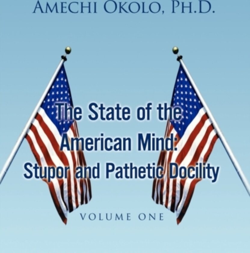 The State of the American Mind av Amechi PH D Okolo (Paperback)