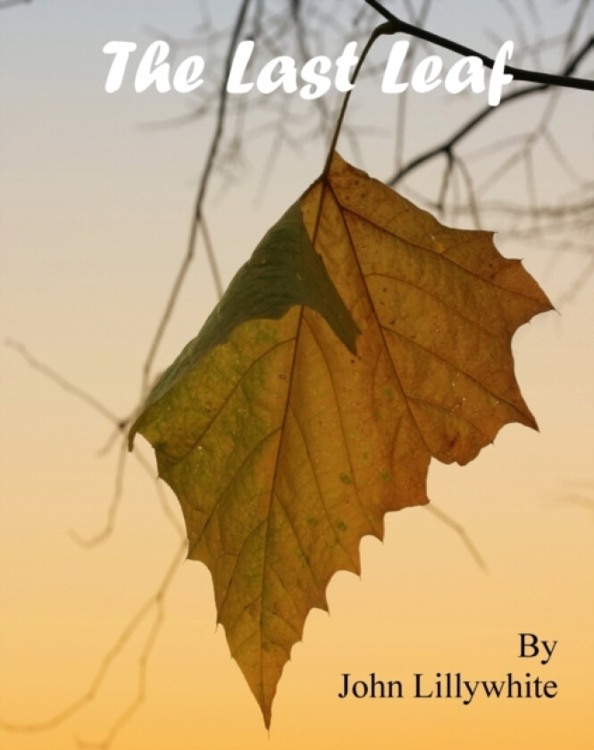 The Last Leaf av John Lillywhite (Paperback)