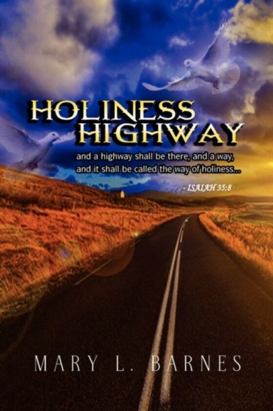 Holiness Highway av Mary L Barnes (Paperback)