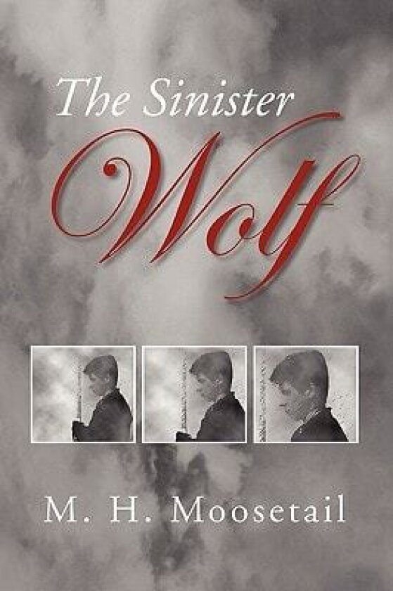 The Sinister Wolf av M H Moosetail (Paperback)