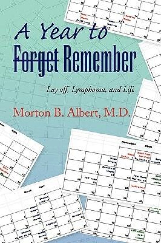 A Year to Forget Remember av Morton B. M. D. Albert (Paperback)