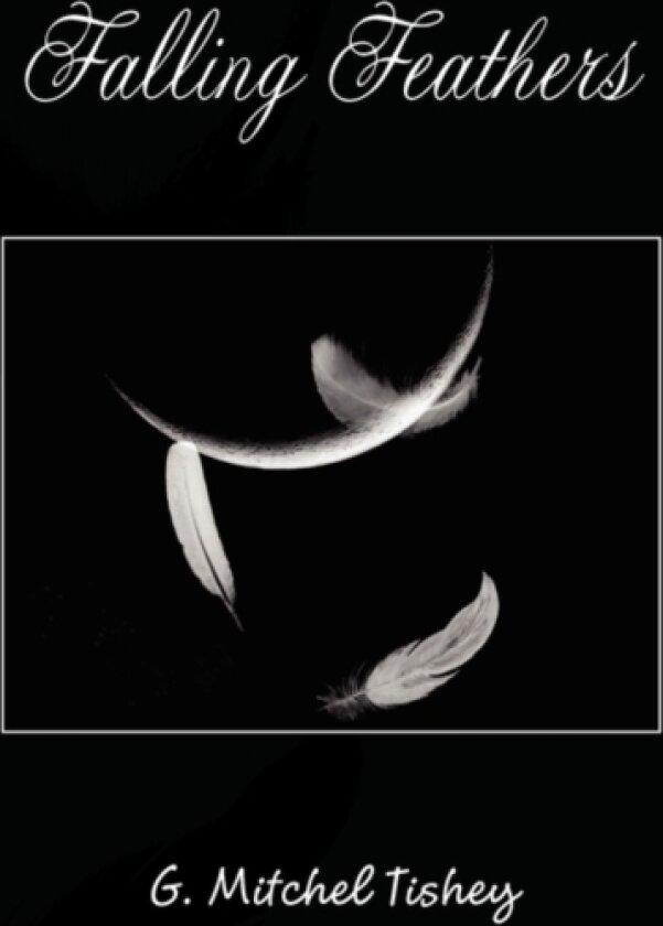 Falling Feathers av G Mitchel Tishey (Paperback)