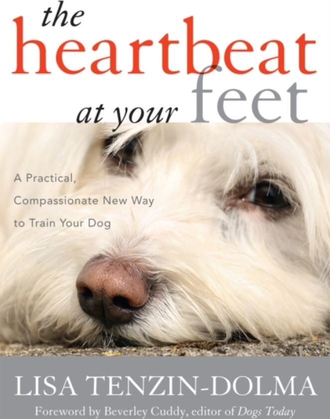 The Heartbeat at Your Feet av Lisa Tenzin-Dolma (Hardcover)