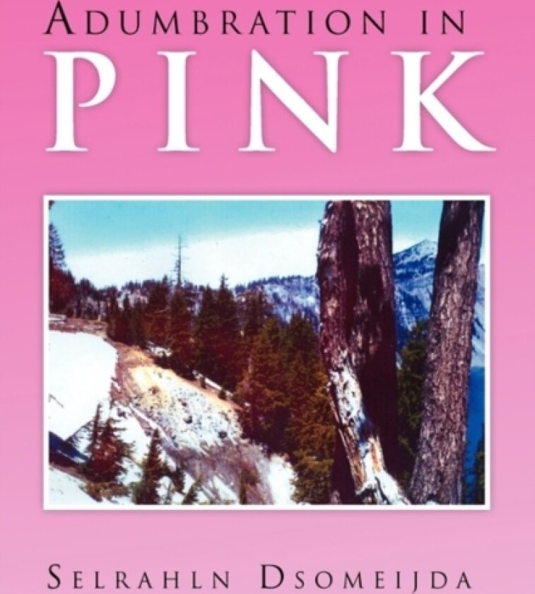 Adumbration in Pink av Selrahln Dsomeijda (Paperback)