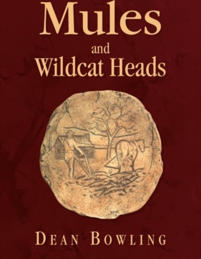 Mules And Wildcat Heads av Dean Bowling (Paperback)