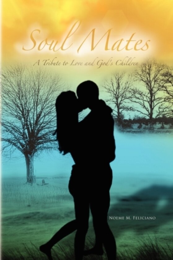 Soul Mates av Noeme M Feliciano (Hardcover)