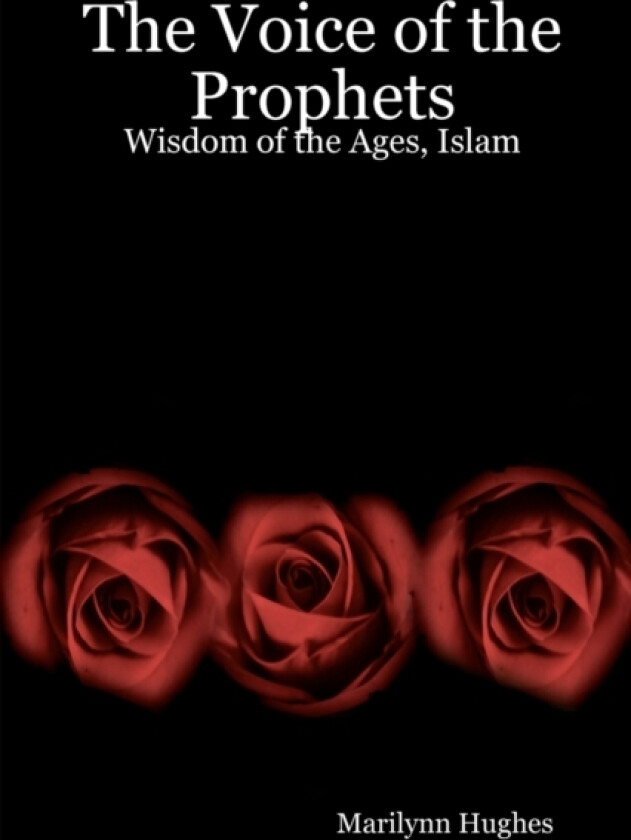 The Voice Of The Prophets av Marilynn Hughes (Paperback)