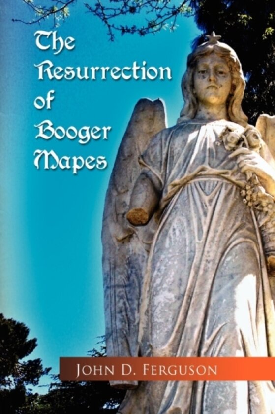 The Resurrection of Booger Mapes av John D Ferguson (Paperback)
