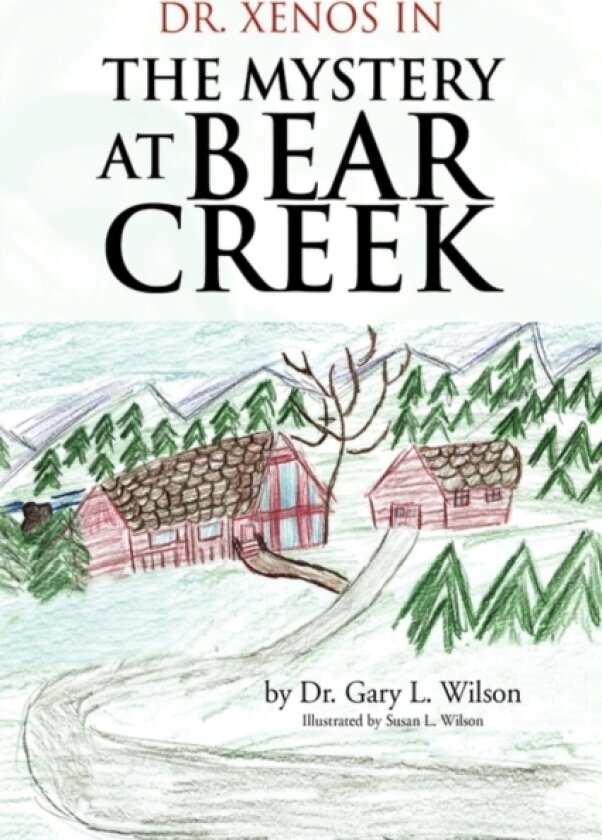 The Mystery at Bear Creek av Dr Gary L Wilson (Paperback)