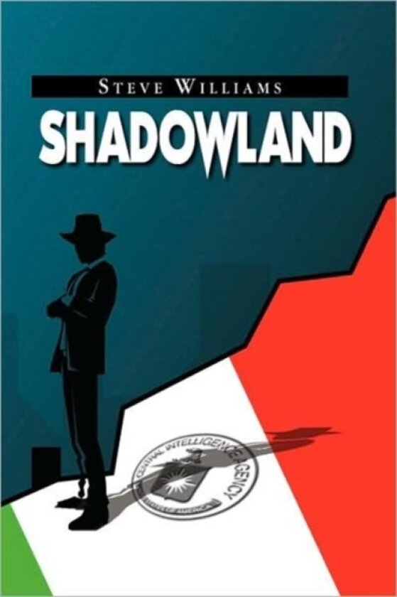 Shadowland av Reader in Employment Relations Steve Gol Williams (Paperback)