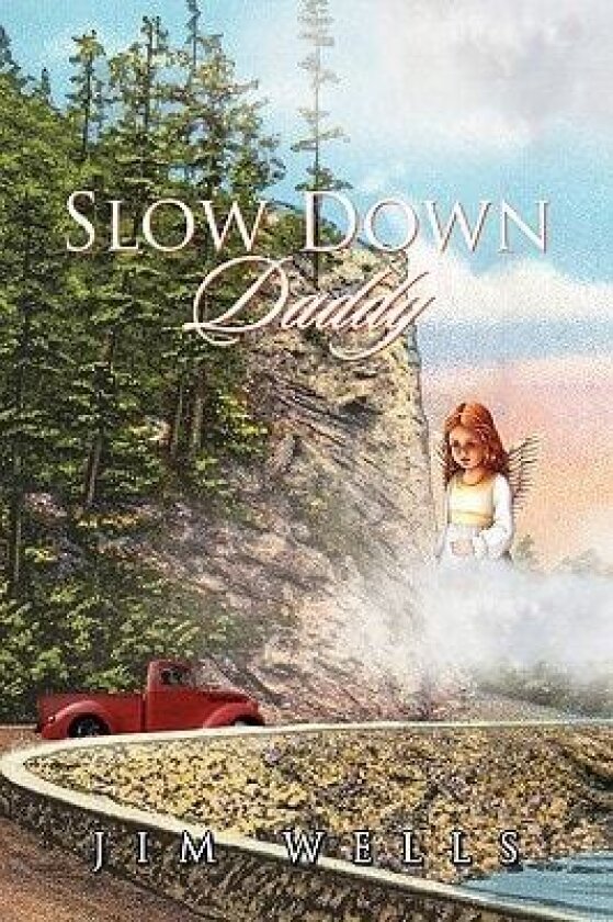 Slow Down Daddy av Jim Wells (Hardcover)
