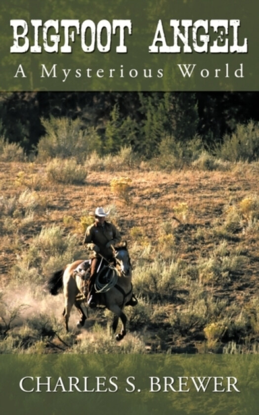 Bigfoot Angel av Charles S Brewer (Paperback)
