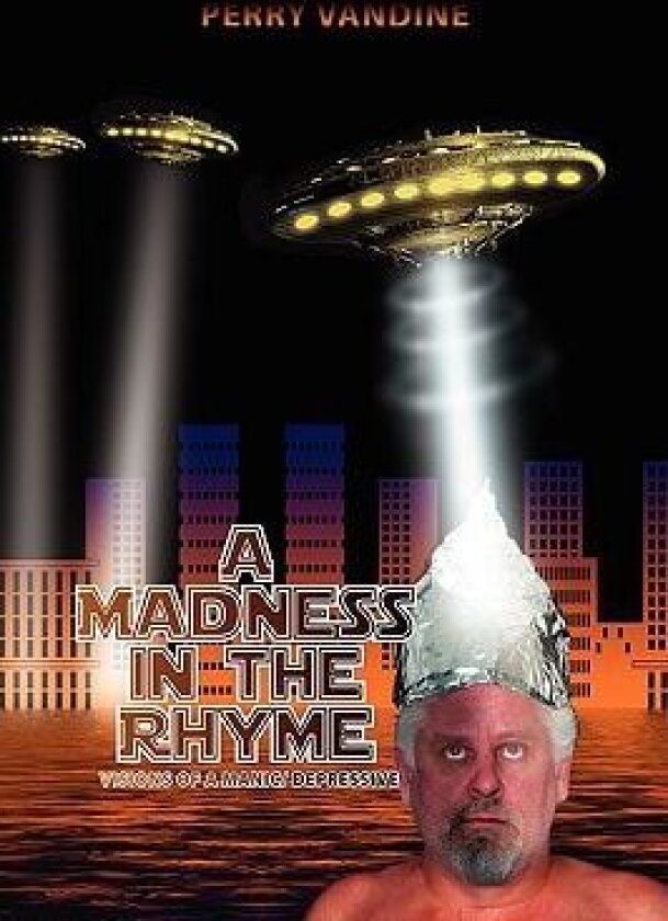 A Madness in the Rhyme av Perry Vandine (Hardcover)