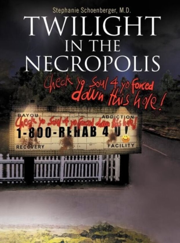 Twilight in the Necropolis av Stephanie M D Schoenberger (Hardcover)