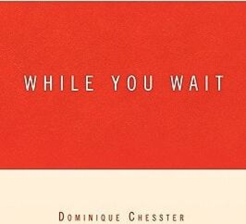 While You Wait av Dominique Chesster (Paperback)