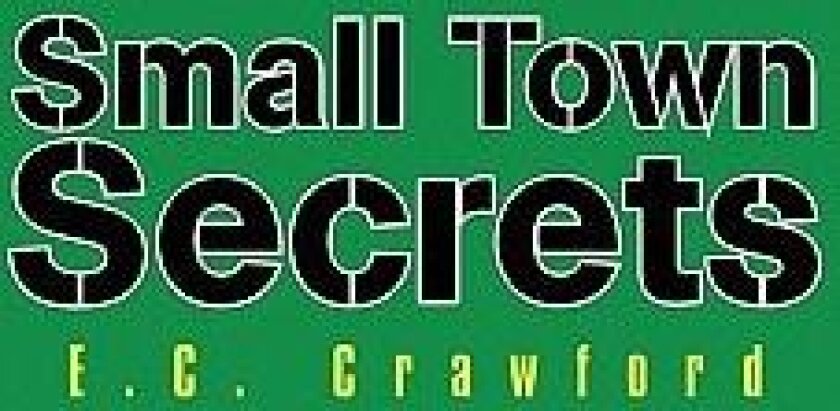 Small Town Secrets av E C Crawford (Paperback)