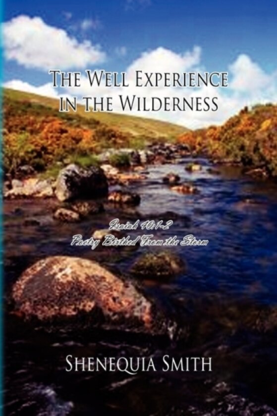 The Well Experience in the Wilderness av Shenequia Smith (Paperback)