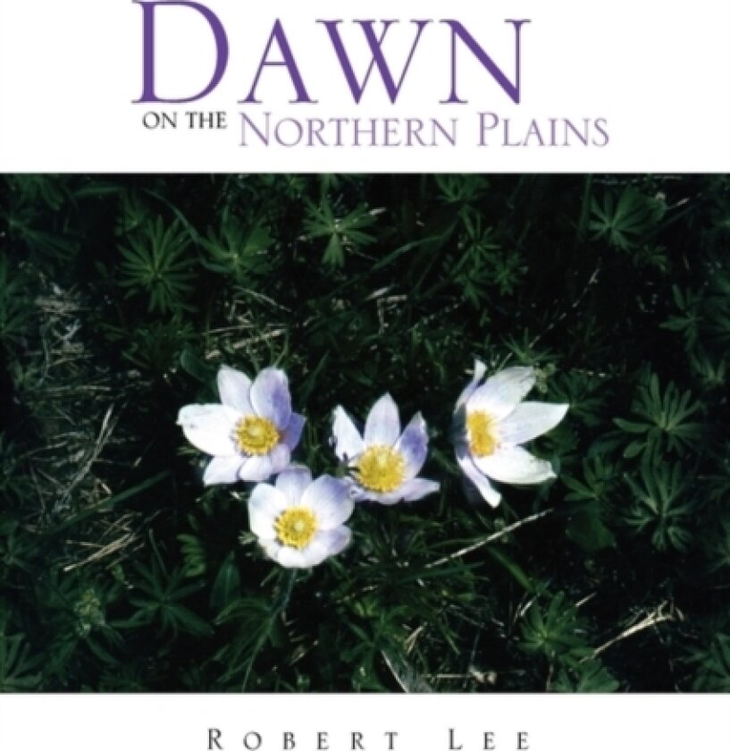 Dawn on the Northern Plains av Lecturer in History Robert PH D Lee (Hardcover)