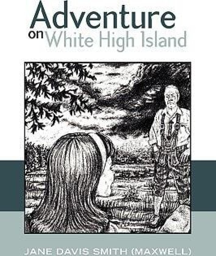 Adventure On White High Island av Jane Davis Smith (Paperback)