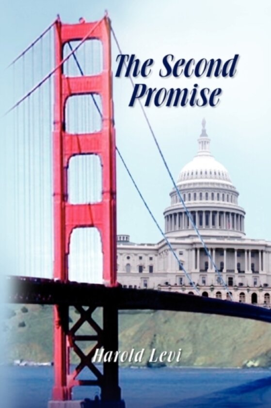The Second Promise av Harold Levi (Paperback)