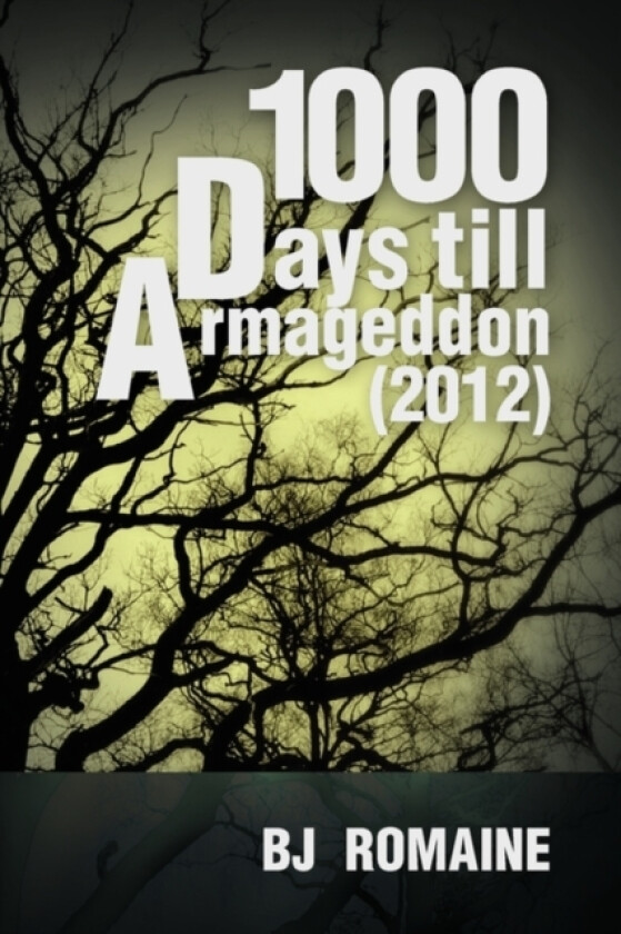 1000 Days Till Armageddon (2012) av Bj Romaine (Hardcover)