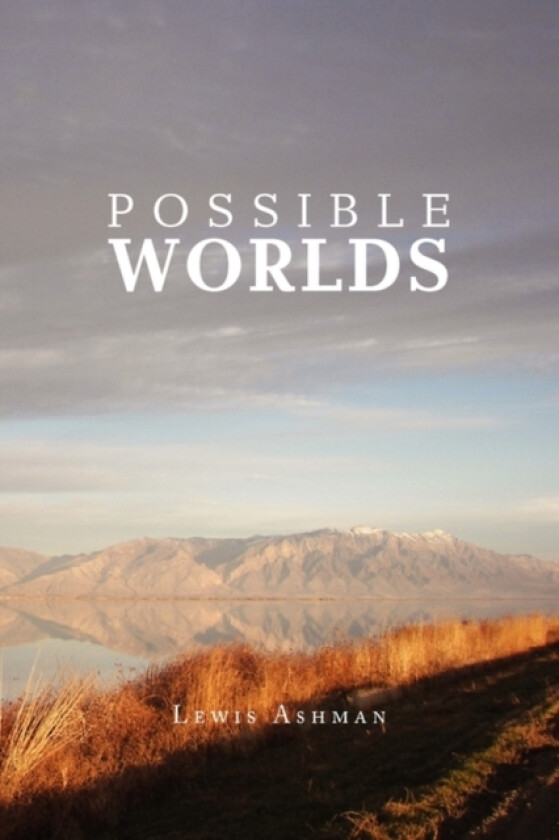 Possible Worlds av Lewis Ashman (Paperback)