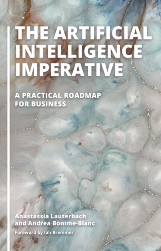 The Artificial Intelligence Imperative av Anastassia Lauterbach, Andrea Bonime-Blanc (Hardcover)
