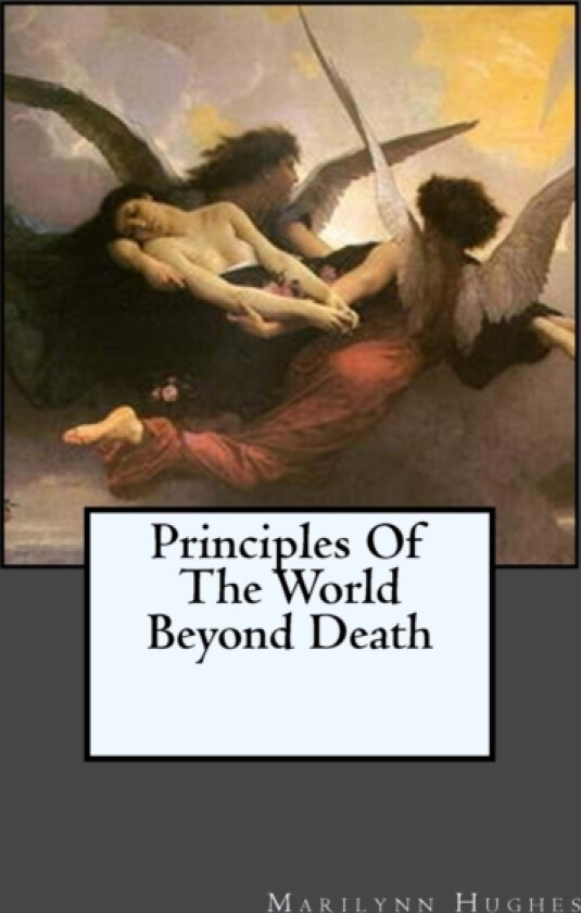 Principles Of The World Beyond Death av Marilynn Hughes (Paperback)