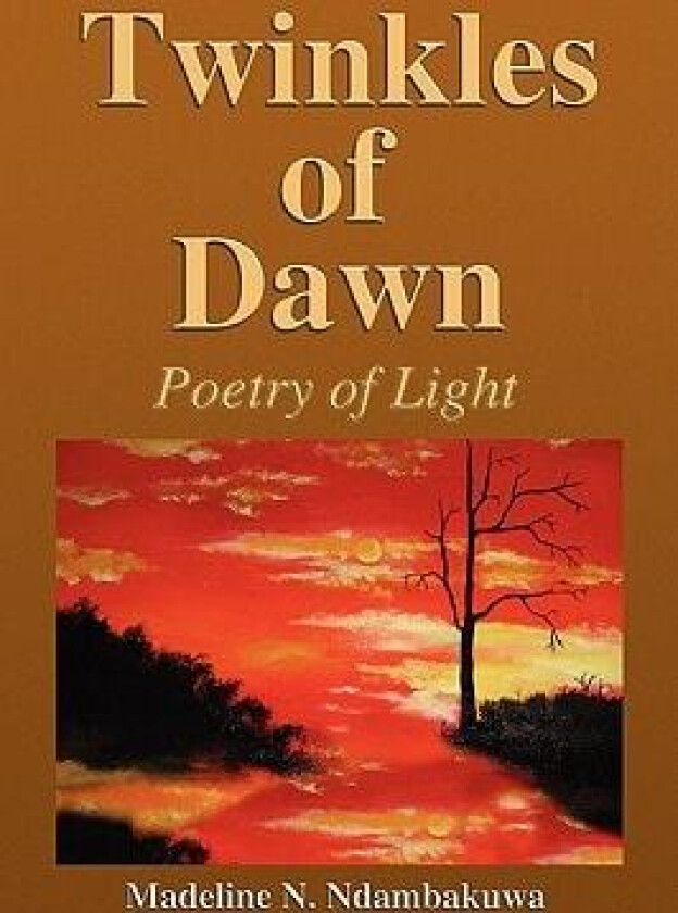 Twinkles of Dawn av Madeline N Ndambakuwa (Paperback)