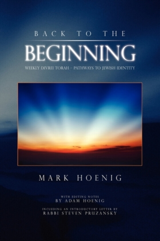 Back to the Beginning av Mark Hoenig (Paperback)