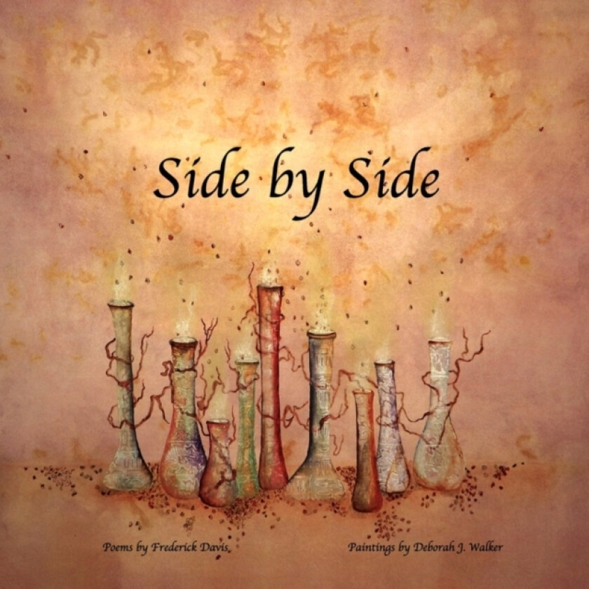 Side by Side av Associate Professor of History Frederick Davis (Paperback)
