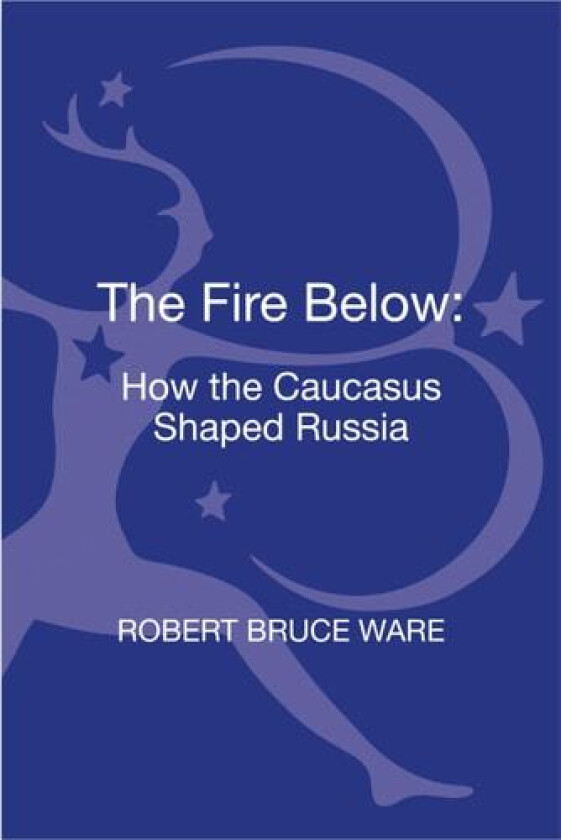 The Fire Below av Robert Bruce Ware (Hardcover)