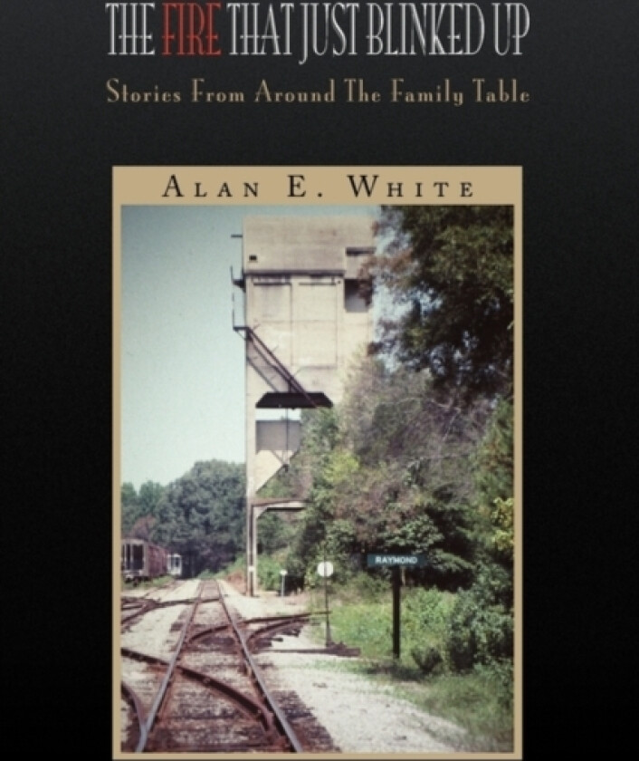 The Fire That Just Blinked Up av Alan E White (Hardcover)